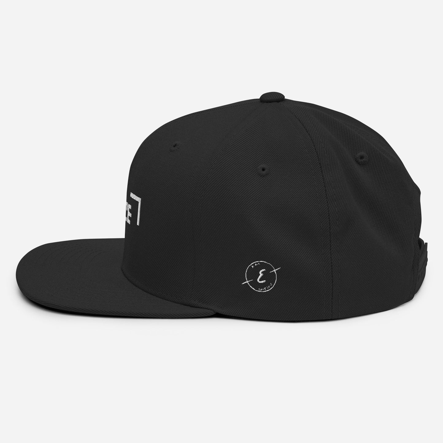 Erace Logo Snapback Hat