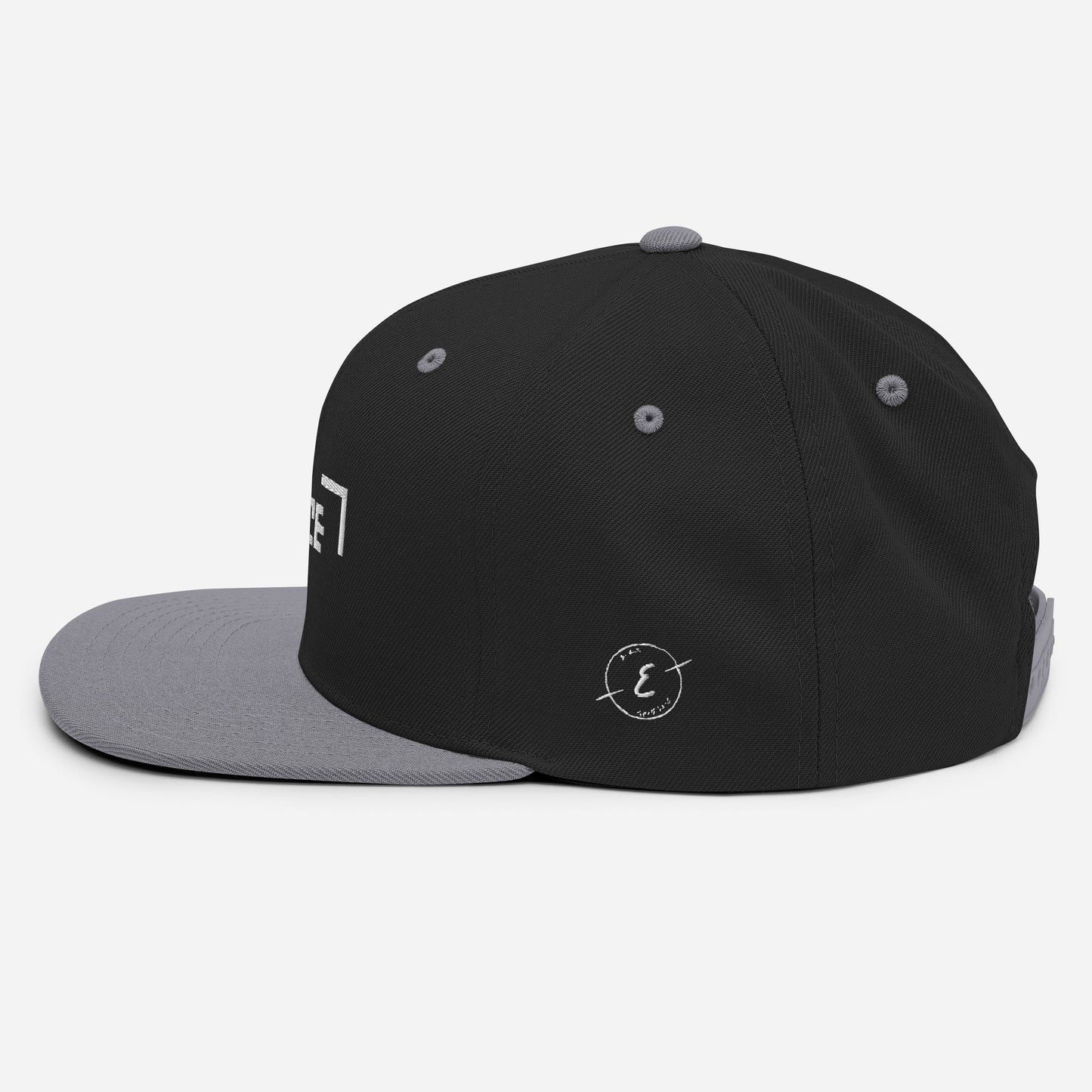 Erace Logo Snapback Hat