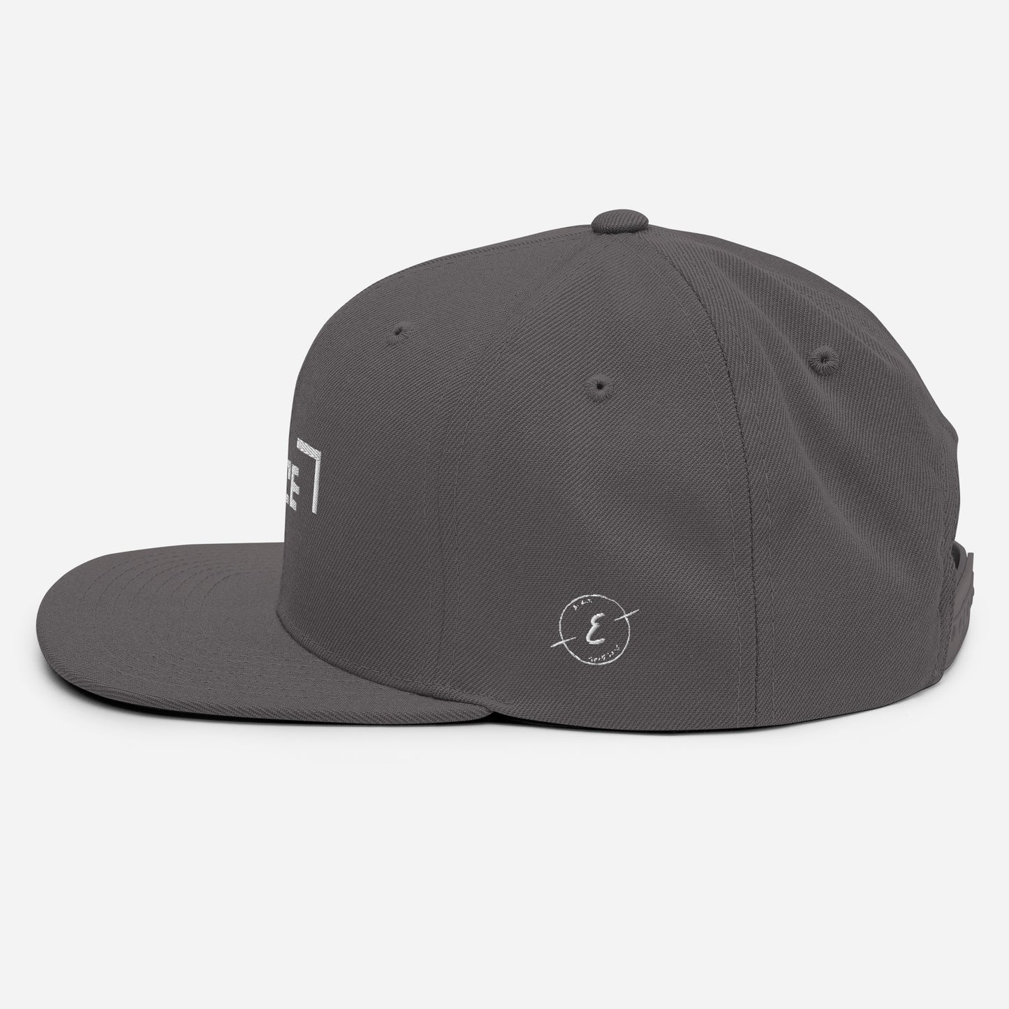 Erace Logo Snapback Hat